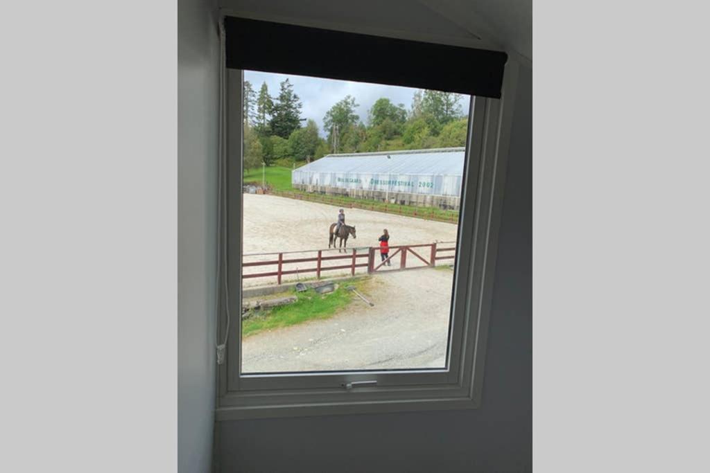 Moldegaard Riding Lodge Moldegard Exterior photo